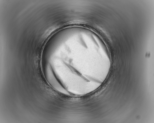 X0000090711313200708101456