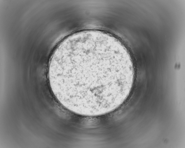 X0000090711314200708101456