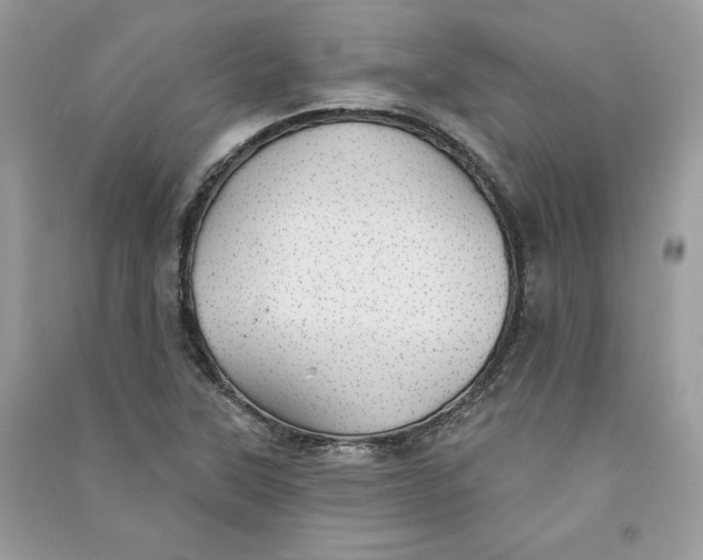 X0000090711315200708101456