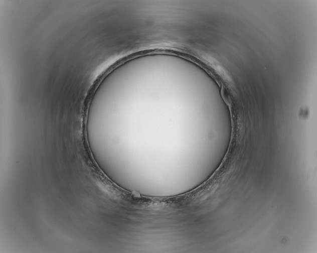 X0000090711316200708101456