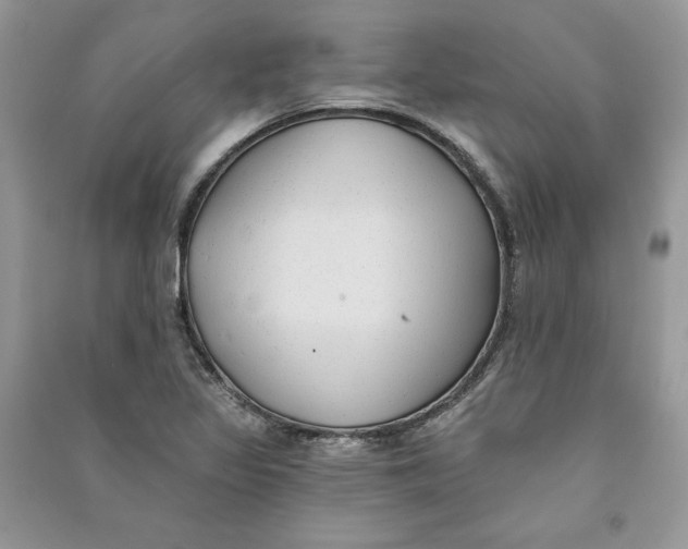 X0000090711317200708101457