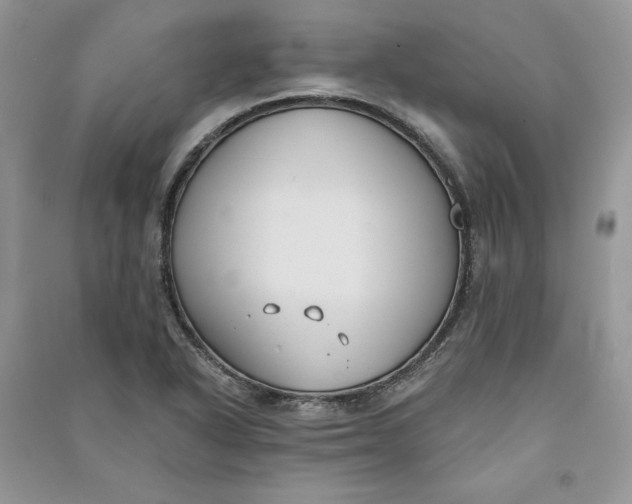 X0000090711318200708101457