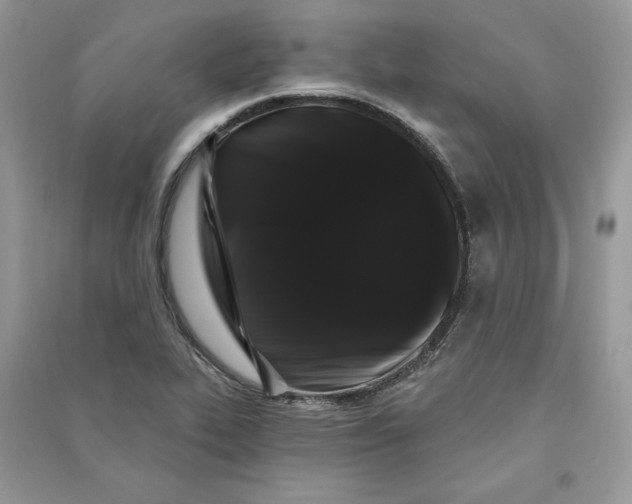 X0000090711319200708101457