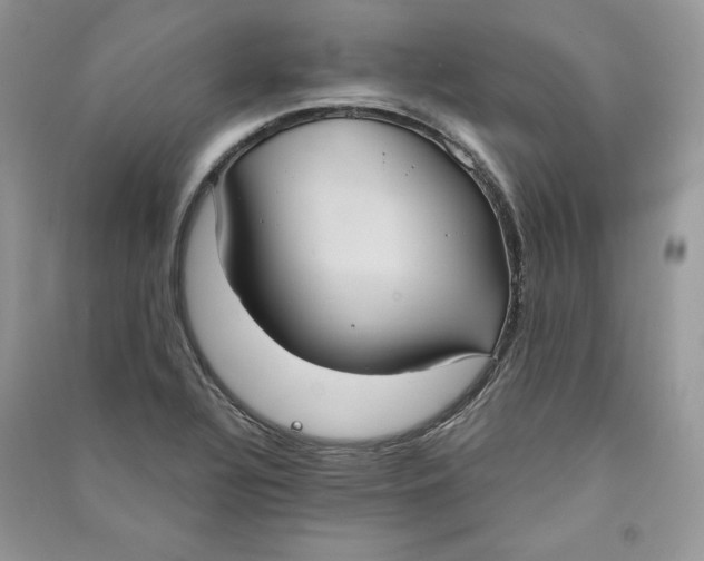 X0000090711320200708101457