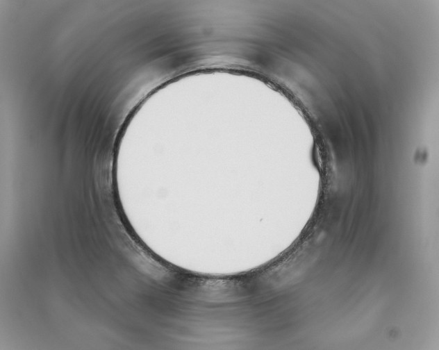 X0000090711322200708101457