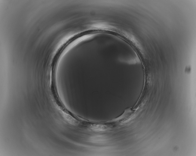 X0000090711323200708101457