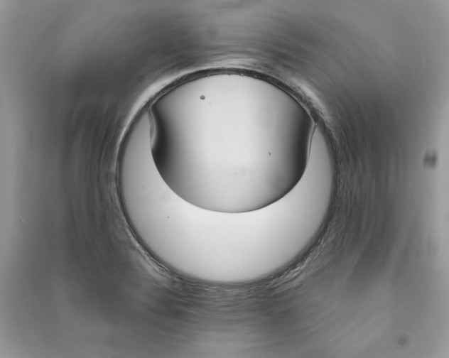 X0000090711324200708101457