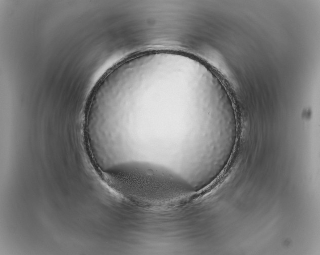 X0000090711325200708101457