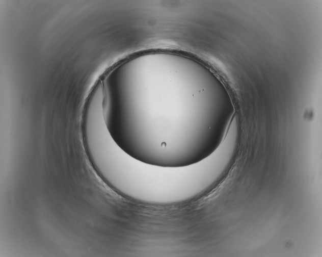 X0000090711326200708101457