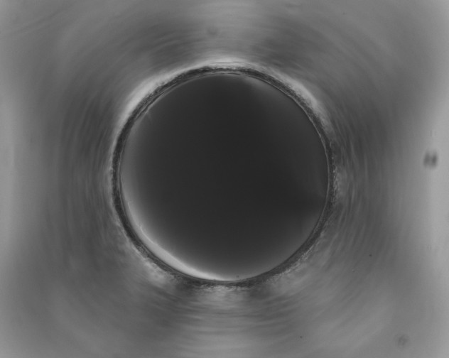 X0000090711327200708101457