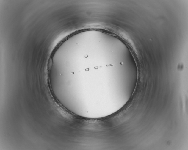 X0000090711328200708101457