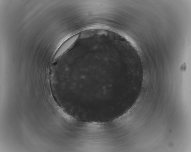 X0000090711329200708101457