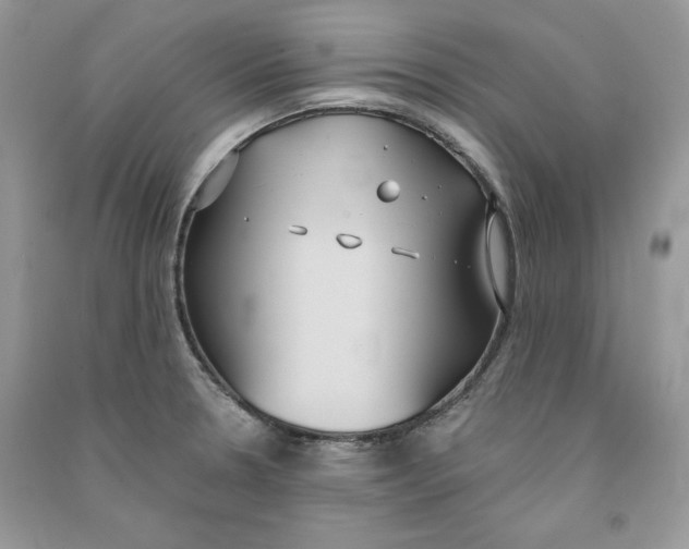 X0000090711330200708101457