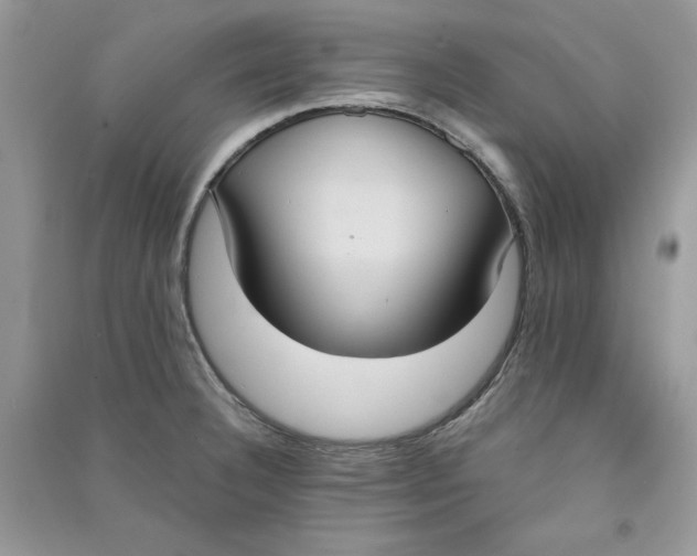 X0000090711332200708101457