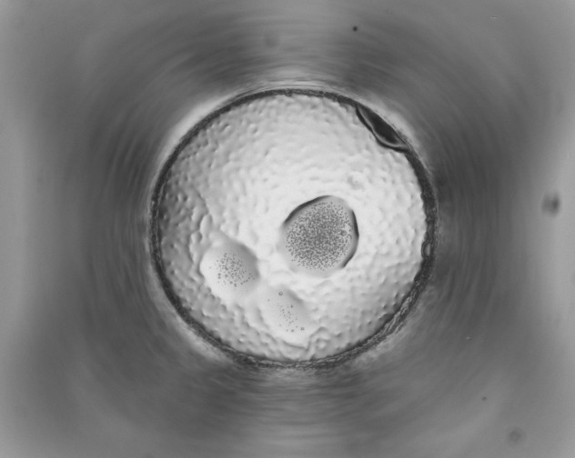 X0000090711333200708101457