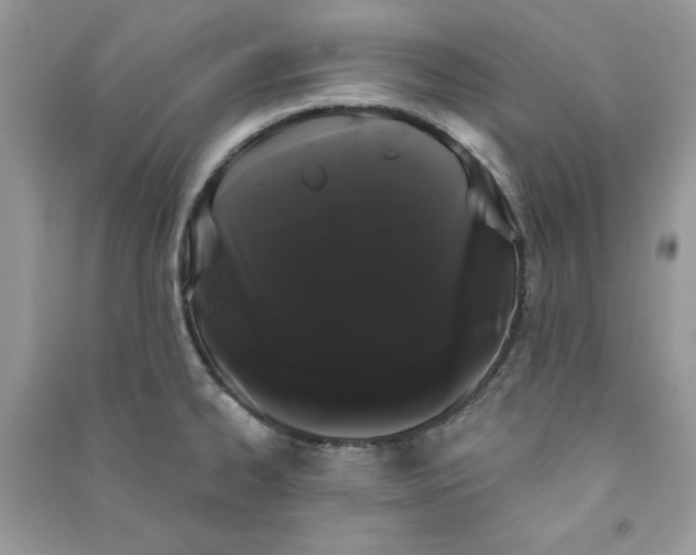 X0000090711334200708101457