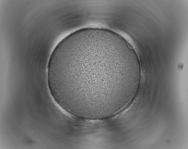 X0000090711335200708101457