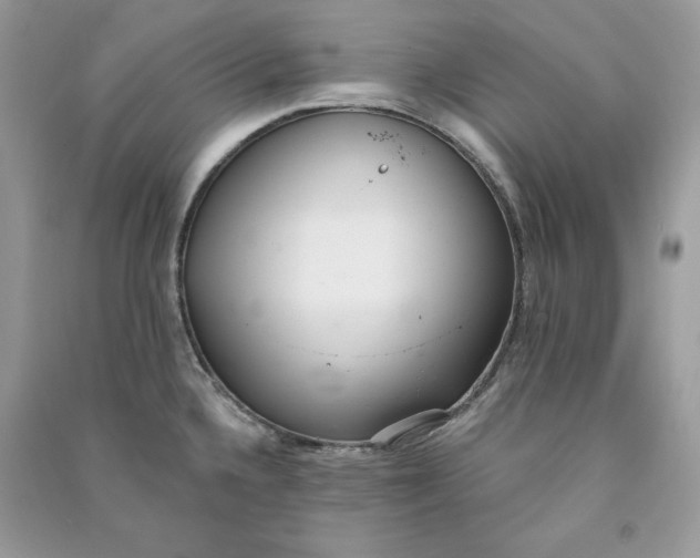 X0000090711336200708101457