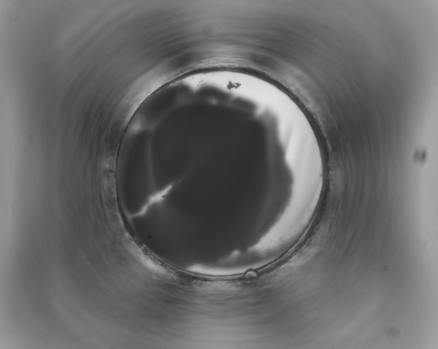 X0000090711337200708101457