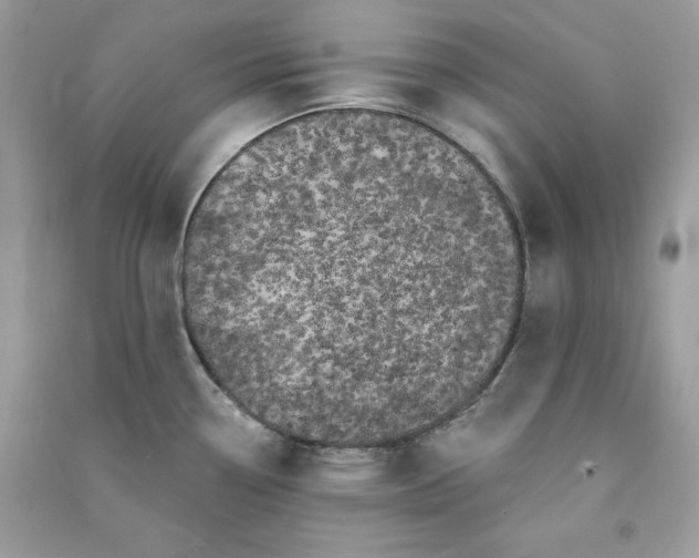 X0000090711338200708101457