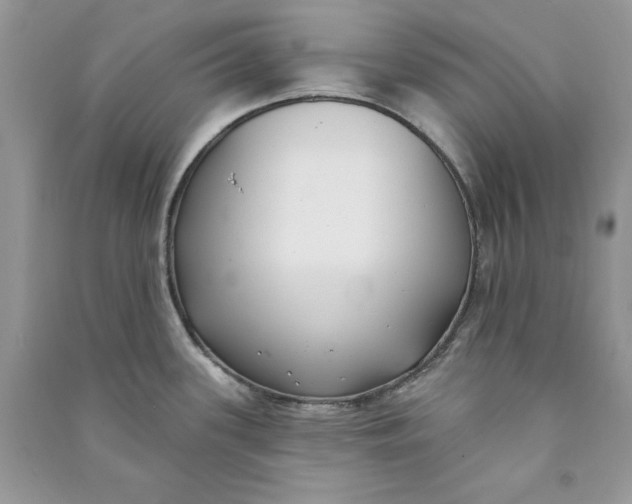 X0000090711339200708101457