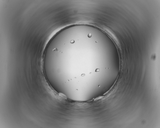 X0000090711340200708101457