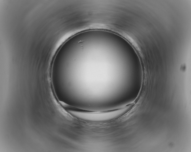 X0000090711342200708101457