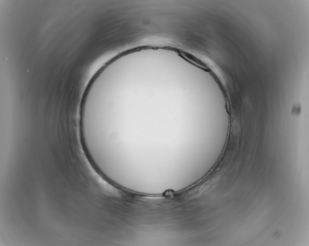 X0000090711343200708101457