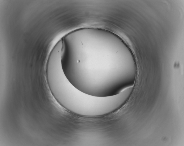 X0000090711344200708101457