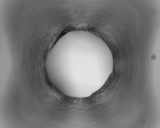 X0000090711345200708101456