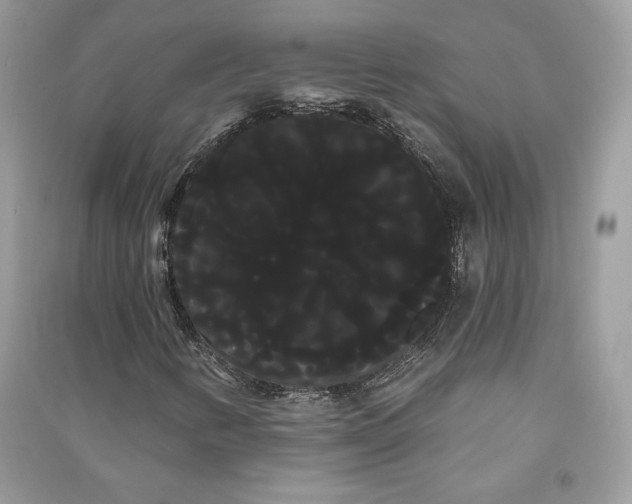 X0000090711346200708101456