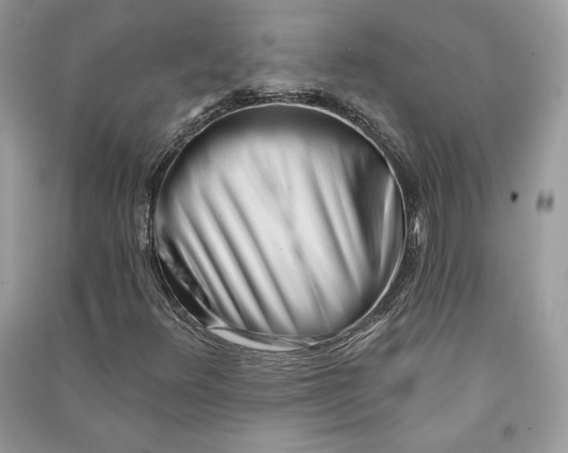 X0000090711348200708101456