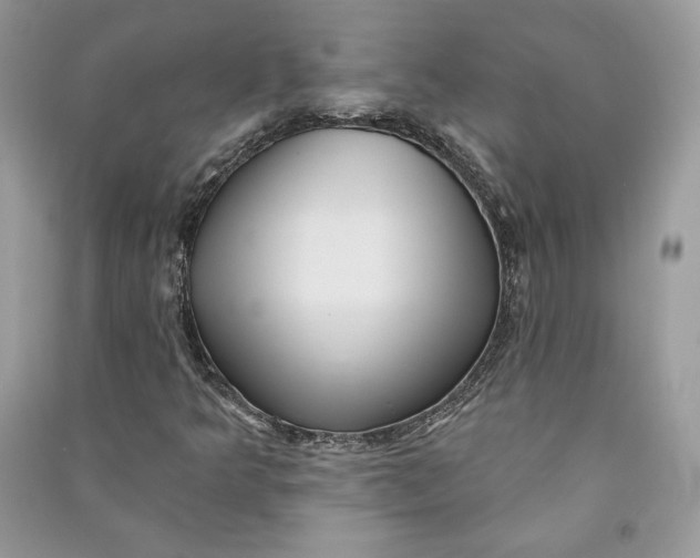 X0000090711349200708101456