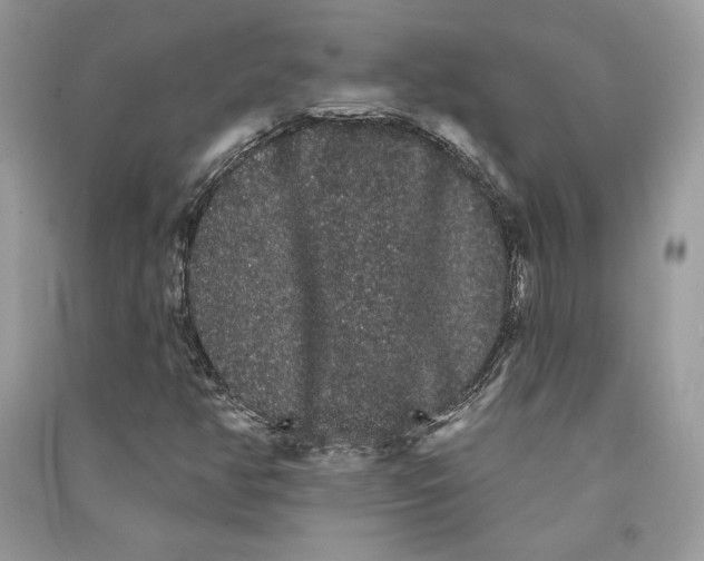 X0000090711350200708101456