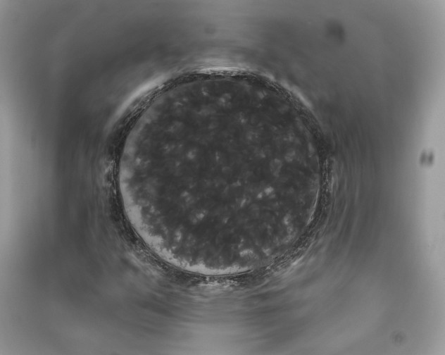 X0000090711351200708101456