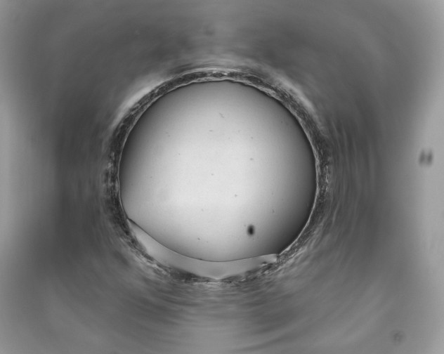 X0000090711352200708101456