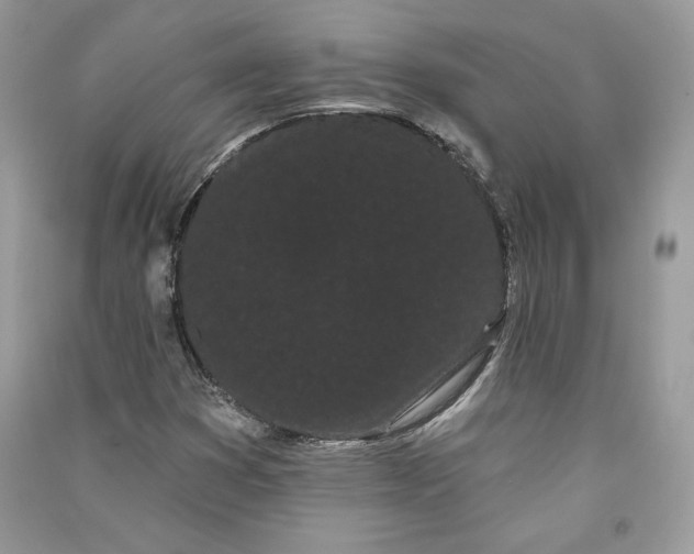 X0000090711353200708101456