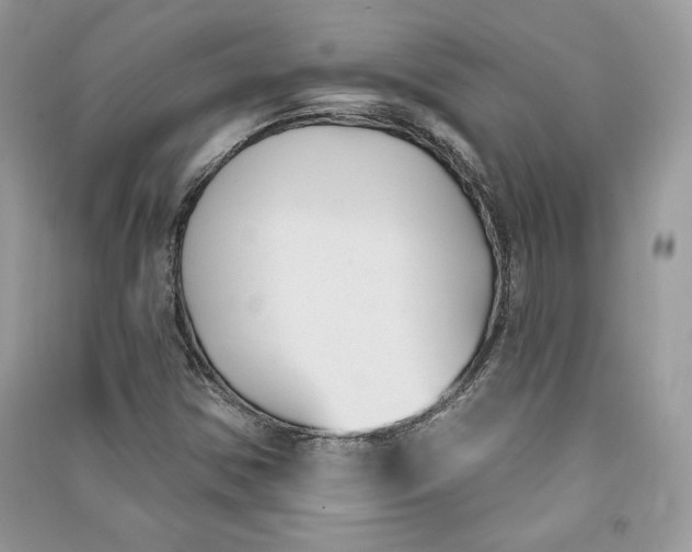 X0000090711354200708101456