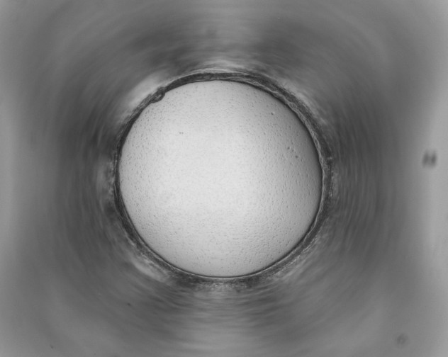 X0000090711355200708101456