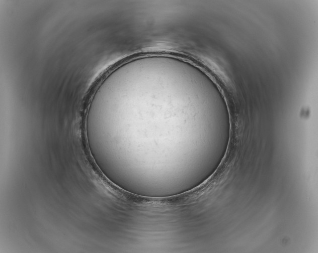 X0000090711356200708101456