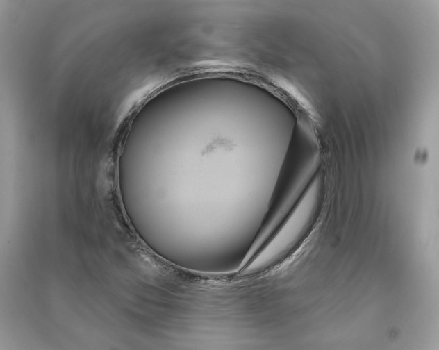 X0000090711357200708101456