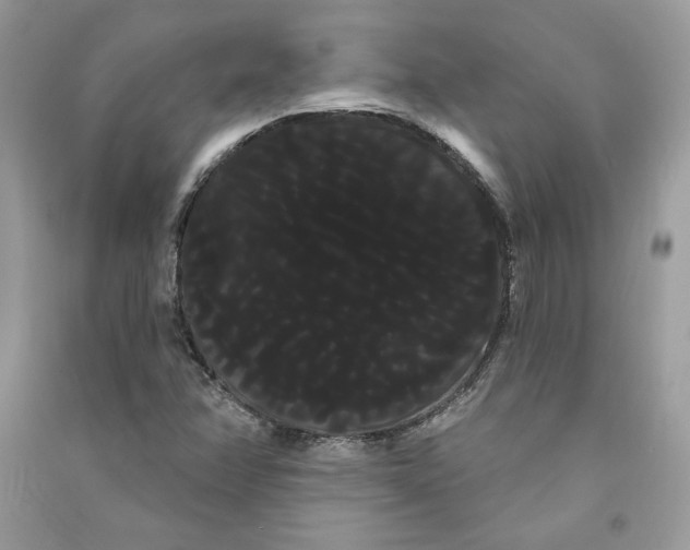 X0000090711358200708101456