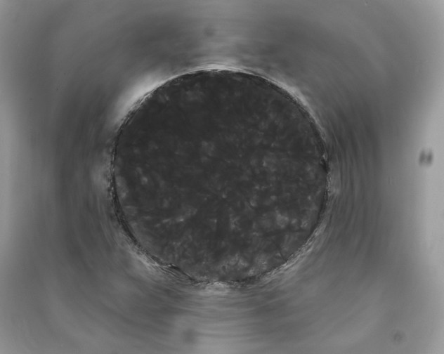 X0000090711359200708101456