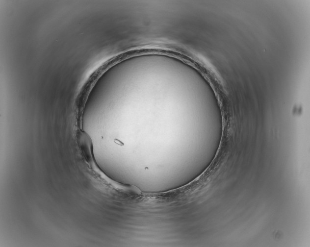 X0000090711360200708101456