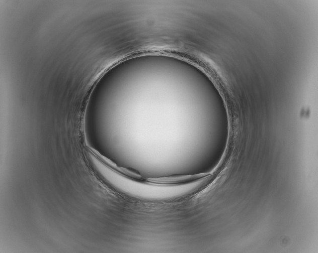 X0000090711361200708101456