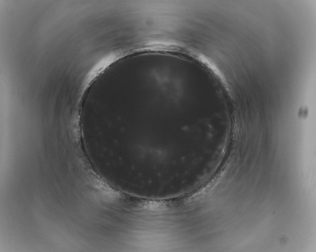 X0000090711362200708101456