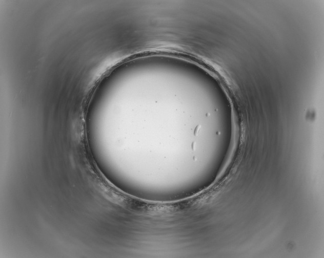 X0000090711363200708101456