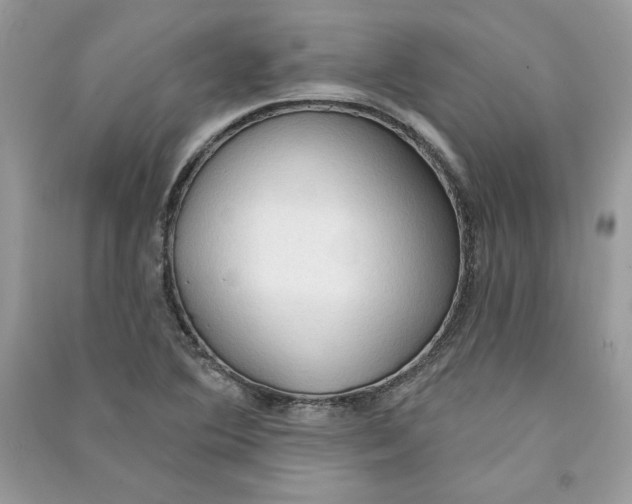 X0000090711364200708101456