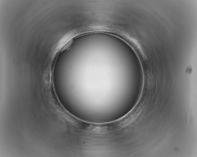 X0000090711365200708101456