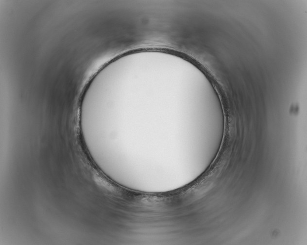 X0000090711366200708101456